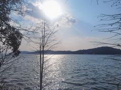 -天目湖山水园