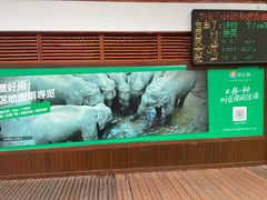 -野象谷景区