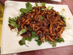 -佶政筋饼·新概念(安阳路店)