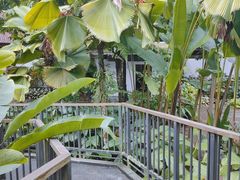 -植物园哈利亚餐厅