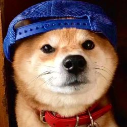 -西安伊美尔医疗美容医院