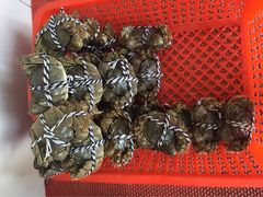 -丫丫蟹庄·苏式园林农家乐·阳澄湖大闸蟹(阳澄湖莲花岛店)