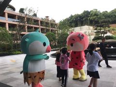 -杭州开元森泊度假乐园