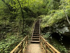 -青峰峡国家森林公园