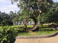 -厦门日月谷温泉渡假村