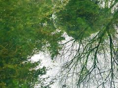 -环城公园-琥珀潭