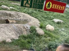 -西安秦岭野生动物园