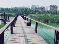 -前关湿地公园