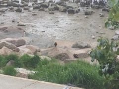-深圳湾公园(南山区)