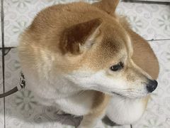 -复旦大学附属华山医院(总院)