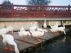 -西安汉城湖景区