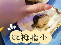 -千岛蚝高压锅生蚝·人参火锅(白云万达店)