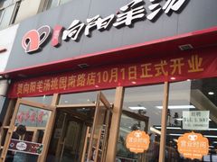 -向阳羊汤(千峰店)