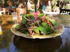 折耳根-青城甲(青城山店)