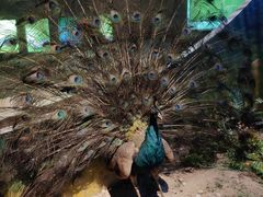 -陕西自然博物馆