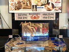 -蟹道乐(道顿堀本店)