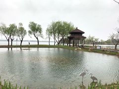 -渤公岛生态公园
