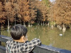 -海珠湖公园
