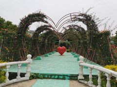 -百万葵园