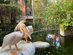 -灵玲国际马戏城