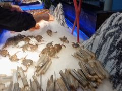 -韩风源烧烤涮自助餐厅(封丘瑞封店)