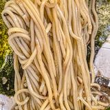 怎么会有那么黑的面??!不会只有我现在才知道吧!!