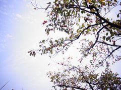 -木守西溪溪隐餐厅