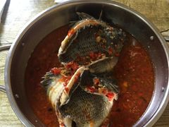 -风鑫铃罗非鱼(道沟店)