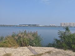 -天津金海湖
