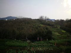 -石塘人家
