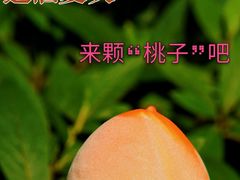 -全家便利店(杭州龙翔桥地铁站店)
