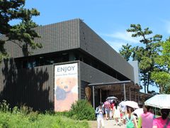 -济州岛泰迪熊博物馆