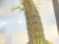 -吴记富苑(朝阳店)