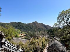 -潭柘寺景区