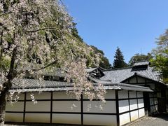 -西芳寺(苔寺)