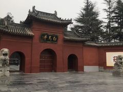 -洛阳白马寺