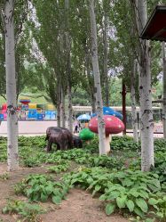 -大望京儿童游乐场