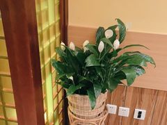 -西贝(六里桥旗舰店)