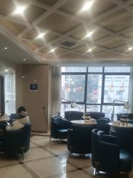 -碧莲盛·不剃发植发