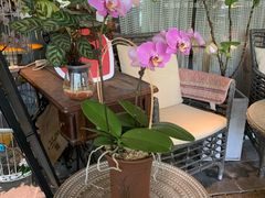 -杂咖zacup(领展中心城店)