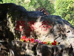 -野象谷景区