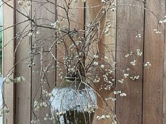 -苏州本色美术馆
