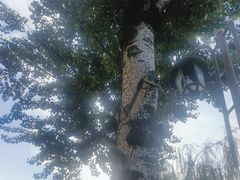 -团结湖公园