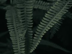 -维乐口腔医院(星海湾分院)