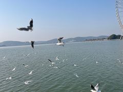 -蠡湖大桥公园