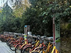 -兰岛广场(白沙路店)
