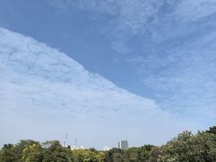 -海珠湖公园