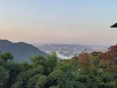 -南山植物园