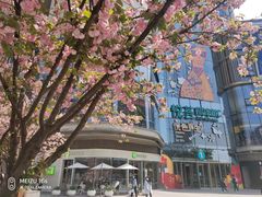 -奈雪的茶(东原悦荟店)