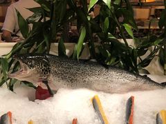 -芭菲盛宴·环球美食(锦城万达广场店)